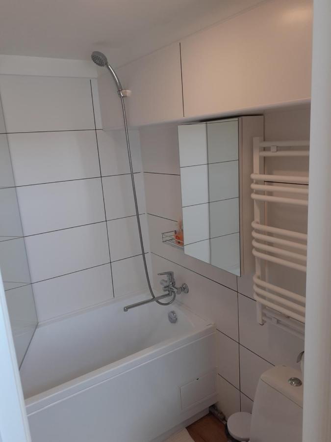 Lovely 1-Bedroom Apartment In Kaunas Old Town Esterno foto